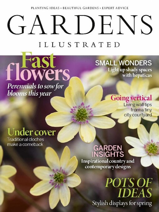 Title details for Gardens Illustrated Magazine by Our Media Limited - Available